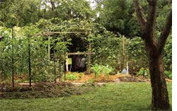 Stirzaker Garden